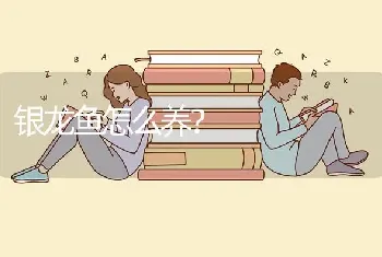 银龙鱼怎么养？