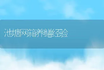 池塘网箱养鳝经验