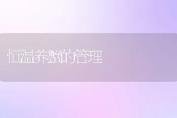 恒温养蟹的管理