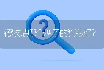 德牧喂哪个牌子的狗粮好？