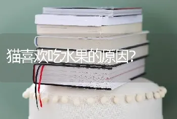 猫喜欢吃水果的原因？