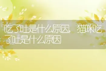 吃了吐是什么原因，猫咪吃了吐是什么原因