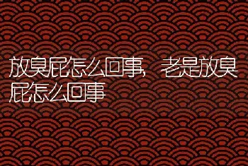 放臭屁怎么回事，老是放臭屁怎么回事