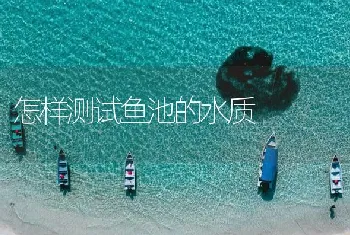 怎样测试鱼池的水质