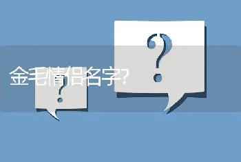 金毛情侣名字？