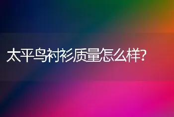 太平鸟衬衫质量怎么样？