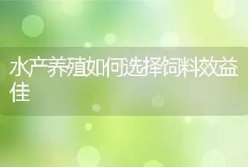 水产养殖如何选择饲料效益佳