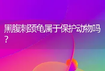 拉布拉多和金毛的区别？