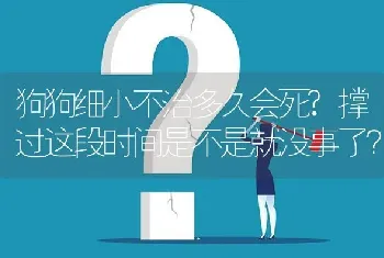 狗狗细小不治多久会死?撑过这段时间是不是就没事了？