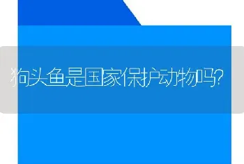 狗头鱼是国家保护动物吗？