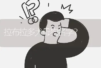 拉布拉多犬母狗名字？