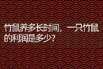 竹鼠养多长时间，一只竹鼠的利润是多少？