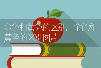 金色和黄色的区别，金色和黄色的区别图片