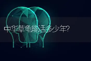 中华草龟能活多少年？