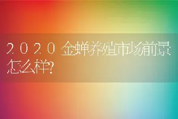 2020金蝉养殖市场前景怎么样？