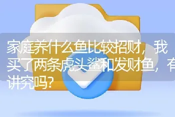 家庭养什么鱼比较招财，我买了两条虎头鲨和发财鱼，有讲究吗？