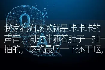 我家狗狗咳嗽就是咔咔咔的声音，同时伴随着肚子一抽一抽的，咳的最后一下还干呕，但什么也没吐出来，拜托？