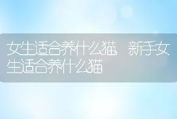 犬窝咳能自愈吗，狗狗犬窝咳能自愈吗