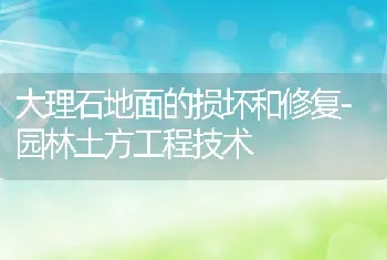 乌龟常见病害防治冬眠死亡病