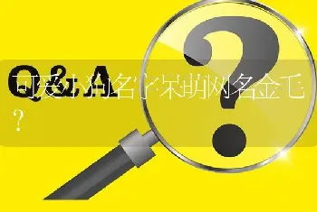 可爱小狗名字呆萌网名金毛？