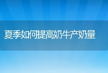 虾池中生物饲料的培养技术