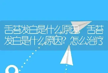 舌苔发白是什么原因，舌苔发白是什么原因？怎么治疗