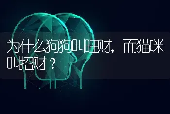 为什么狗狗叫旺财，而猫咪叫招财？