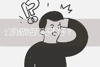 公狗做绝育好不好？