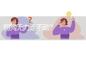 狗狗无力走不动？