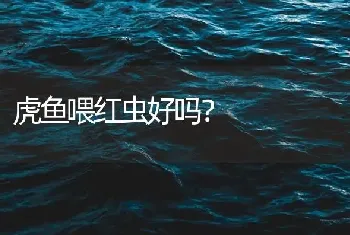 虎鱼喂红虫好吗？