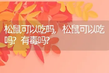 松鼠可以吃吗，松鼠可以吃吗？有毒吗？