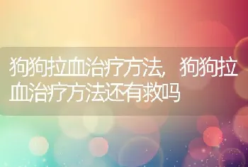 狗狗拉血治疗方法，狗狗拉血治疗方法还有救吗