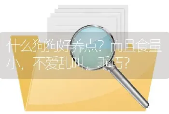 什么狗狗好养点？而且食量小，不爱乱叫，乖巧？