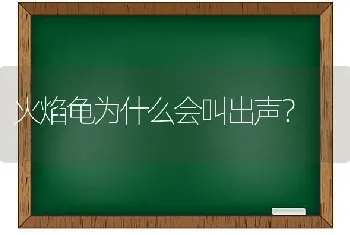 火焰龟为什么会叫出声？