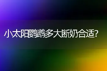 小太阳鹦鹉多大断奶合适？