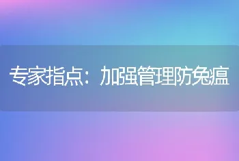 专家指点：加强管理防兔瘟