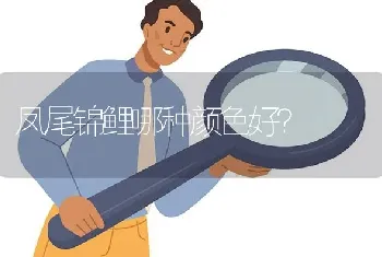 凤尾锦鲤哪种颜色好？