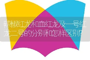 辣椒红龙和血红龙及一号红龙二号的分别和怎样区别？