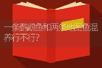 一条鹦鹉鱼和两条地图鱼混养行不行？