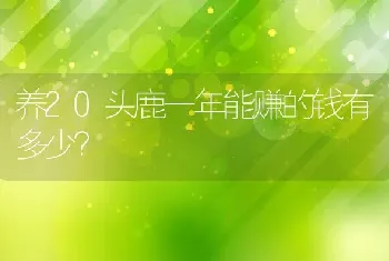 养20头鹿一年能赚的钱有多少？