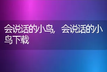 会说话的小鸟，会说话的小鸟下载