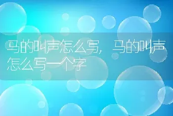 马的叫声怎么写，马的叫声怎么写一个字