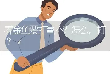 养金鱼要打氧不？怎么，打？