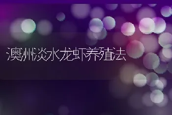 野兔冬季养殖技术的要点