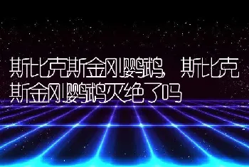 斯比克斯金刚鹦鹉，斯比克斯金刚鹦鹉灭绝了吗