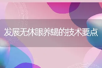 发展无休眼养蝎的技术要点