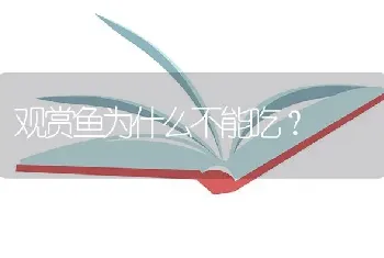 观赏鱼为什么不能吃？