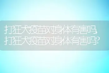 打狂犬疫苗对身体有害吗，打狂犬疫苗对身体有害吗？