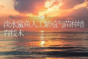 淡水鲨鱼人工繁殖与苗种培育技术