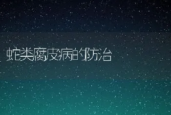 蛇类腐皮病的防治